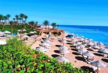 Hotel Park 4*